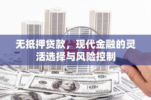 安南无抵押贷款，现代金融的灵活选择与风险控制
