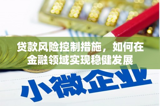 安南贷款风险控制措施，如何在金融领域实现稳健发展