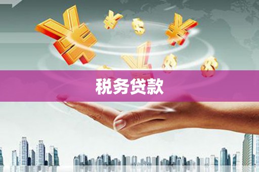 安南税务贷款