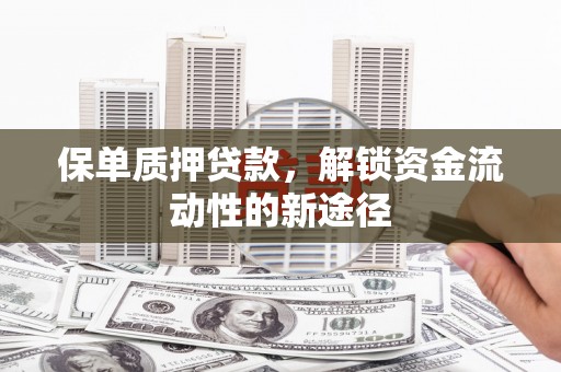 安南保单质押贷款，解锁资金流动性的新途径
