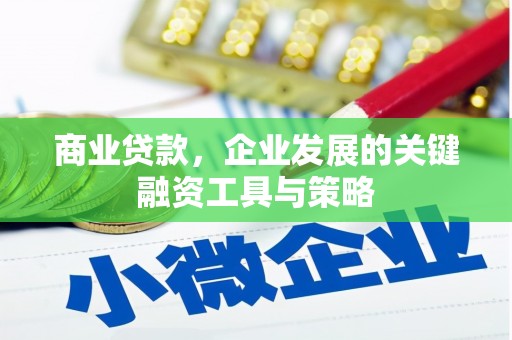 安南商业贷款，企业发展的关键融资工具与策略