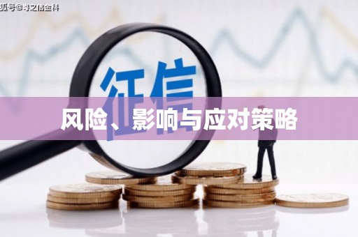 安南风险、影响与应对策略