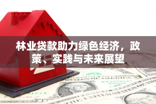 安南林业贷款助力绿色经济，政策、实践与未来展望