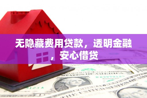 安南无隐藏费用贷款，透明金融，安心借贷