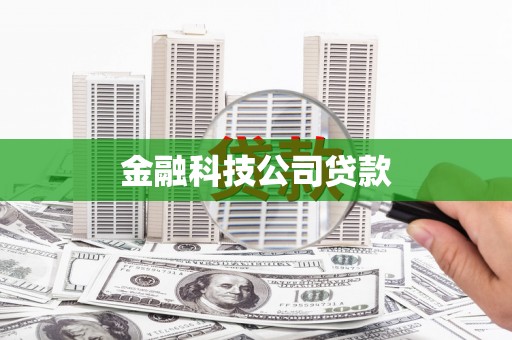安南金融科技公司贷款