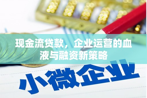 安南现金流贷款，企业运营的血液与融资新策略