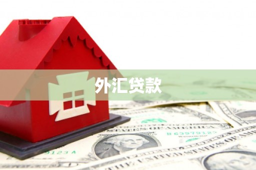 安南外汇贷款