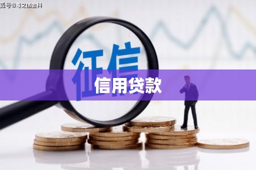 安南信用贷款
