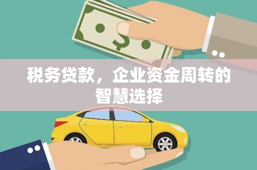 安南税务贷款，企业资金周转的智慧选择