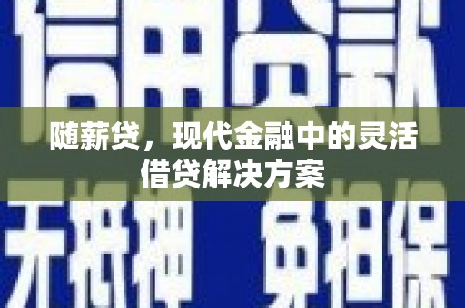 安南随薪贷，现代金融中的灵活借贷解决方案