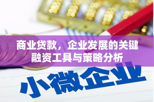 安南商业贷款，企业发展的关键融资工具与策略分析