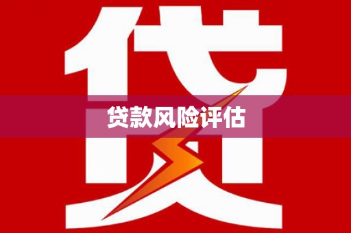 安南贷款风险评估