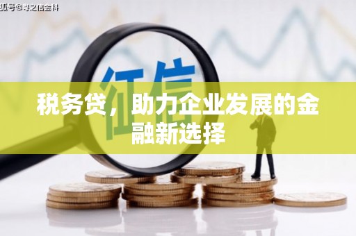 安南税务贷，助力企业发展的金融新选择