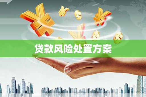 安南贷款风险处置方案