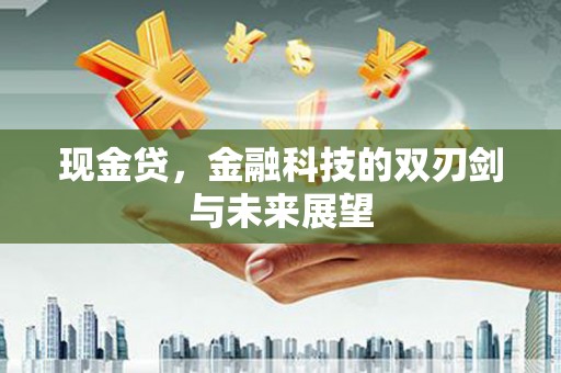 安南现金贷，金融科技的双刃剑与未来展望