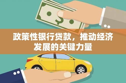 安南政策性银行贷款，推动经济发展的关键力量