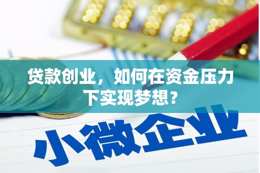 安南贷款创业，如何在资金压力下实现梦想？