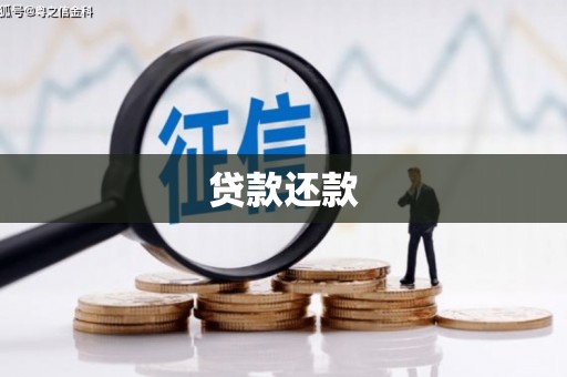 安南贷款还款