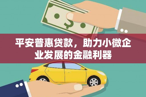 安南平安普惠贷款，助力小微企业发展的金融利器