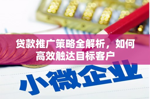 安南贷款推广策略全解析，如何高效触达目标客户