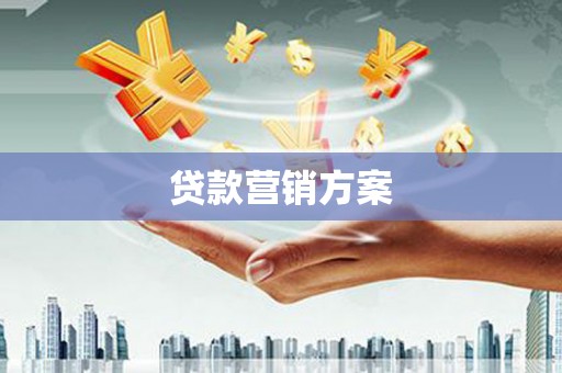 安南贷款营销方案