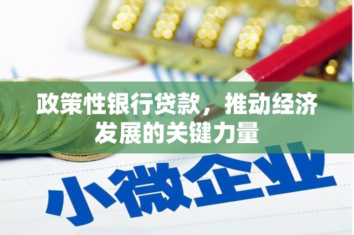 安南政策性银行贷款，推动经济发展的关键力量