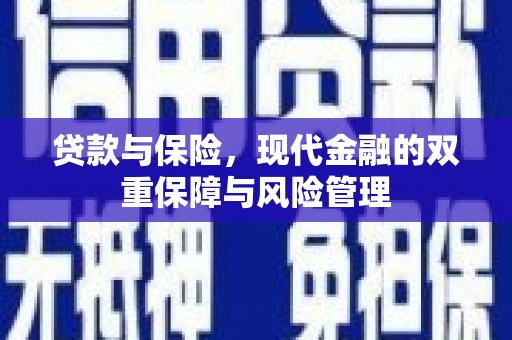 安南贷款与保险，现代金融的双重保障与风险管理