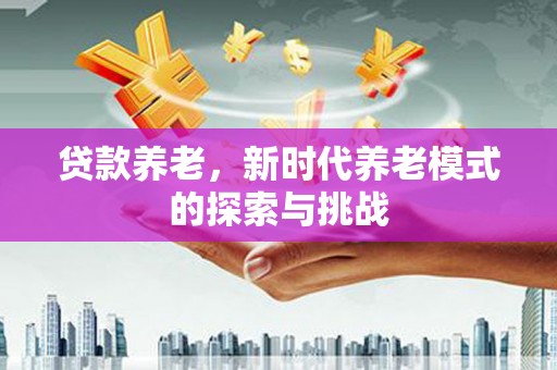 安南贷款养老，新时代养老模式的探索与挑战