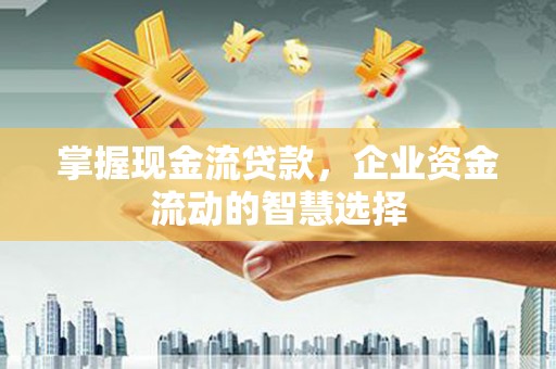 安南掌握现金流贷款，企业资金流动的智慧选择