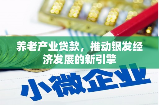 安南养老产业贷款，推动银发经济发展的新引擎