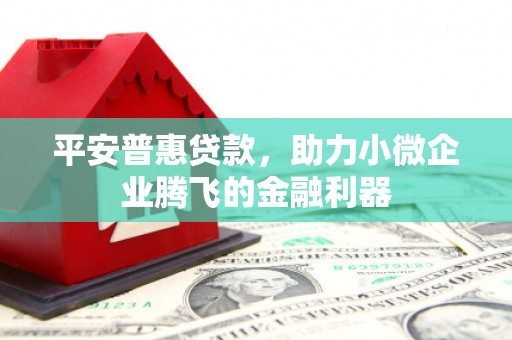 安南平安普惠贷款，助力小微企业腾飞的金融利器