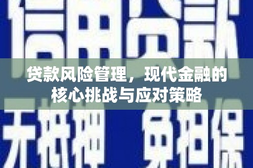 安南贷款风险管理，现代金融的核心挑战与应对策略