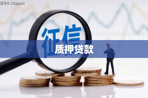 安南质押贷款