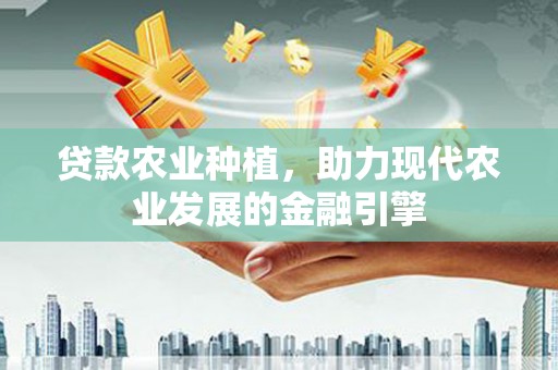 安南贷款农业种植，助力现代农业发展的金融引擎