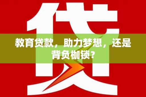 安南教育贷款，助力梦想，还是背负枷锁？