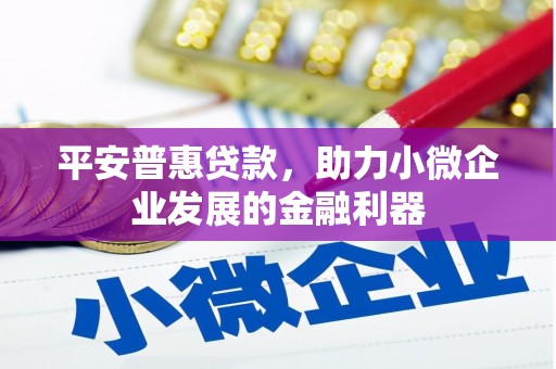 安南平安普惠贷款，助力小微企业发展的金融利器