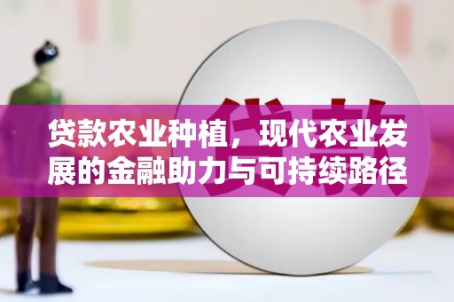 安南贷款农业种植，现代农业发展的金融助力与可持续路径