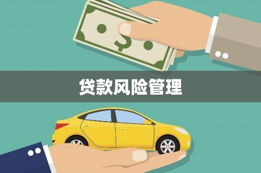 安南贷款风险管理