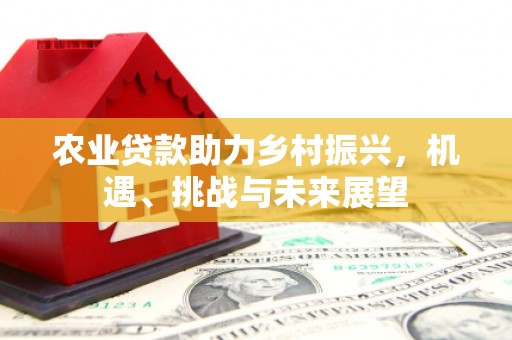 安南农业贷款助力乡村振兴，机遇、挑战与未来展望