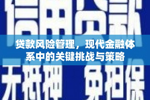 安南贷款风险管理，现代金融体系中的关键挑战与策略