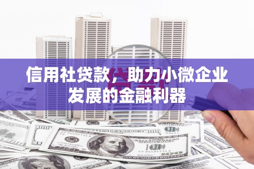 安南信用社贷款，助力小微企业发展的金融利器