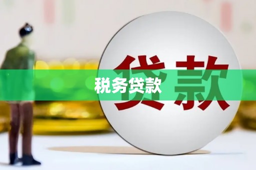 安南税务贷款
