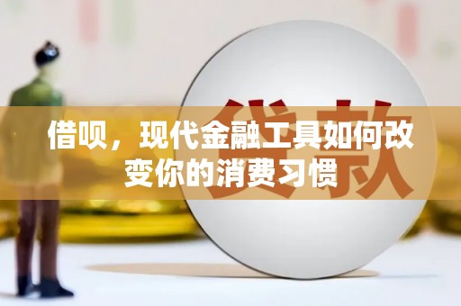 安南借呗，现代金融工具如何改变你的消费习惯
