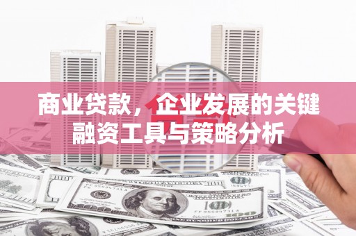 安南商业贷款，企业发展的关键融资工具与策略分析