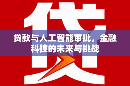 安南贷款与人工智能审批，金融科技的未来与挑战
