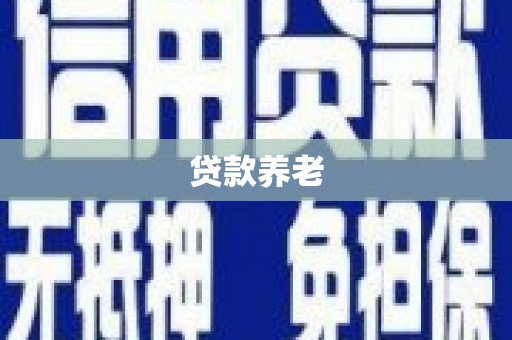 安南贷款养老