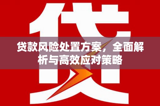 安南贷款风险处置方案，全面解析与高效应对策略