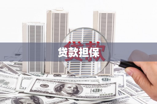 安南贷款担保
