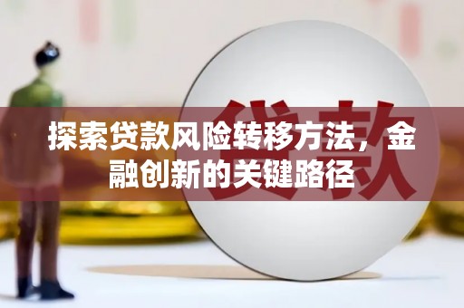 安南探索贷款风险转移方法，金融创新的关键路径
