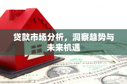 安南贷款市场分析，洞察趋势与未来机遇